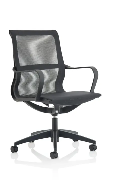 Lula Medium Mesh Back Executive Office Chair with Arms